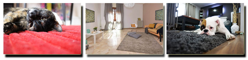 Milton Keynes Carpets