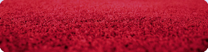 Cheap bedroom carpets